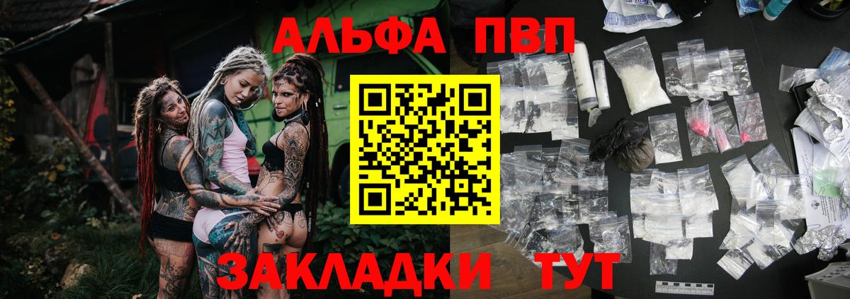 Альфа ПВП крисы CK Североморск