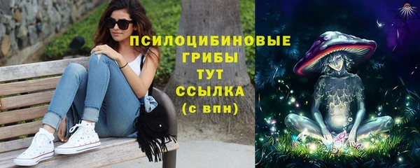 амф Новодвинск