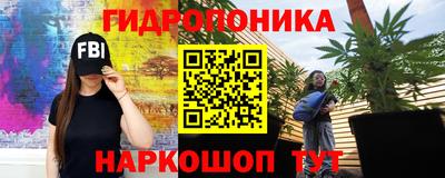 MESCALINE Гатчина
