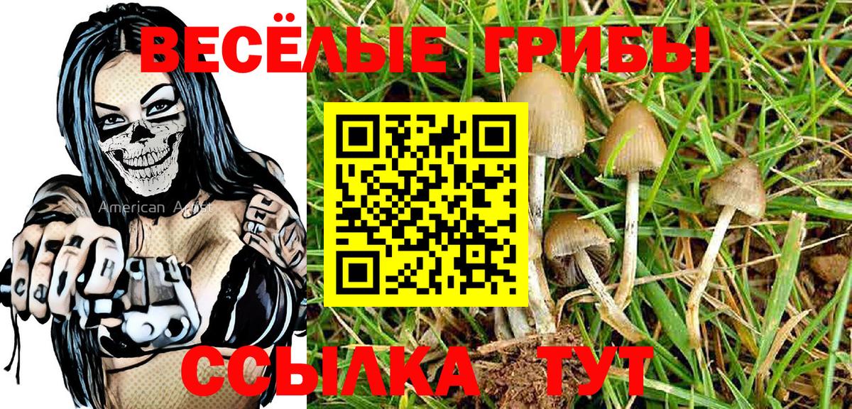 Псилоцибиновые грибы ЛСД Североморск