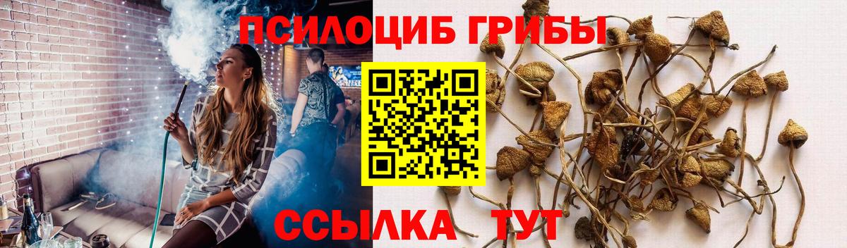 Североморск  Галлюциногенные грибы Magic Shrooms  Вход с VPN 